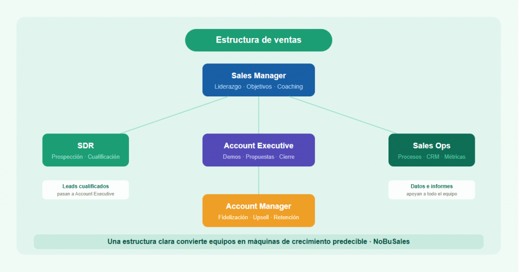 Estructura de ventas: cómo organizar tu equipo comercial para crecer